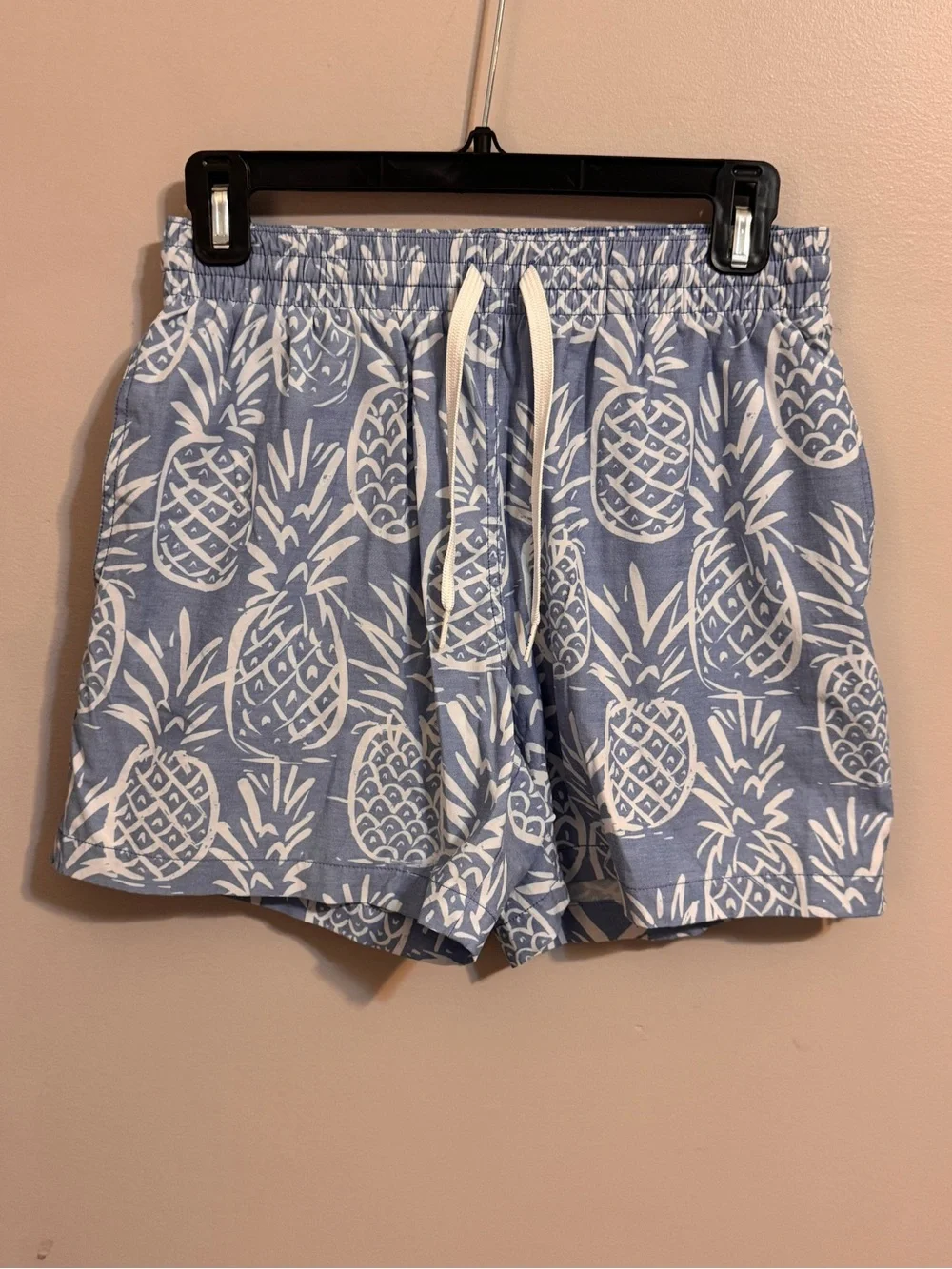 Chubbies Men’s Pineapple Print Swim Trunks Blue Size Small